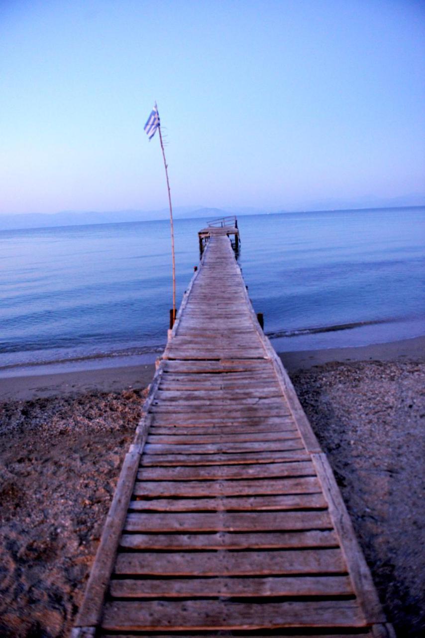 公寓 Stefanos Resort Mesongí